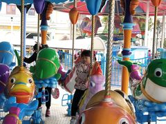 -芜湖新华联大白鲸海洋公园