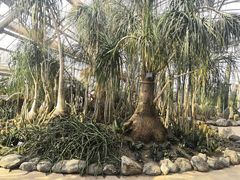 -南山植物园