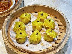 -点都德·毕德寮