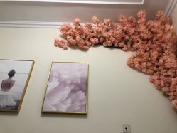 -VE专注问题肌·赛诺龙&科学美肤中心