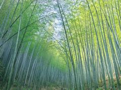 -天目湖御水温泉·度假酒店