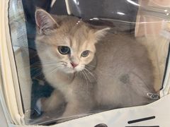 -艾贝尔宠物医院 ·中兽医·宠保定点(北门桥店)