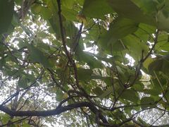 -哈尔滨文化公园