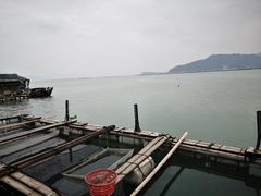 -罗源湾8号渔排