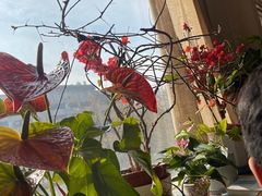 -云之南(八里庄店)