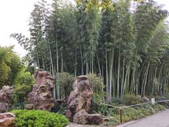 -荆川公园