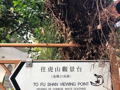 -大澳