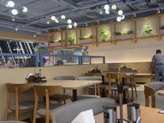 -翡翠拉面小笼包Crystal Jade(上海浦东国际机场T1店)