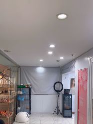 -镁连社·美联社