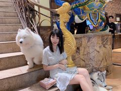 -more than meow吴止猫主题餐厅(承德 中船汇店)