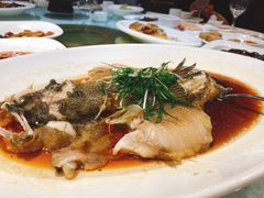 清蒸石斑鱼-顺风海鲜港(长寿路店)