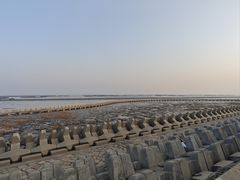 -南汇嘴观海公园