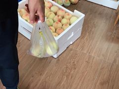 -南汇新场正宗水蜜桃采摘