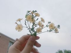 -中国艺术研究院油画院