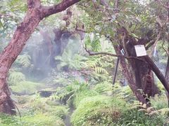 -Chom Cafe and Restaurant