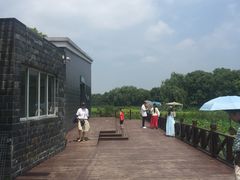 -荷塘月色湿地公园·向阳花洲