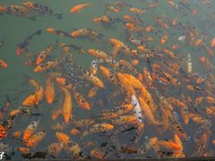 -大明山自然探索公园