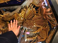 -蟹道乐(道顿堀本店)