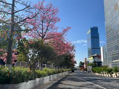 -佛山京华广场MALL