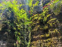 -梭布垭石林景区