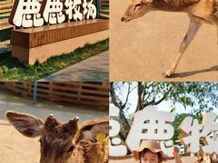 -盈香心动乐园