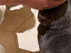 -扬州东关街文昌阁桔子水晶酒店