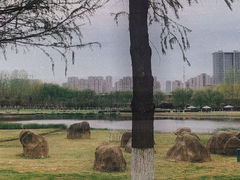 -滨湖塘西河公园