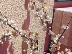 -长藤鬼校(观音桥店)
