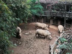 -长鹿旅游休博园