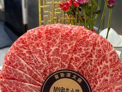 -喜聚薈·花膠雞海鮮火鍋(越秀店)