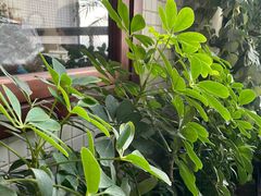 -RT Coffee 放空咖啡