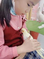 -Moni星球萌宠·小马宝莉·灵蛇·高端高阶全萌宠互动体验俱乐部(红豆国际广场店)