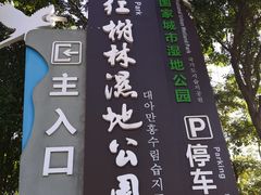 -大亚湾红树林城市湿地公园
