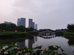 -西海子公园