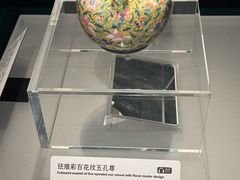 -广西壮族自治区博物馆