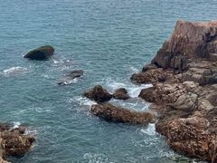 -小麦岛公园