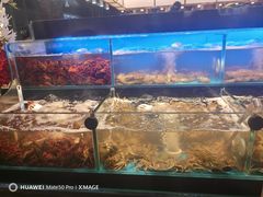 -苏格里岛自助烤肉海鲜火锅(成都金牛万达店)