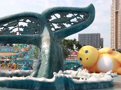 -海合安成都极地海洋公园