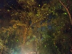 -深业半汤御泉庄温泉