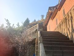 -草庵摩尼教遗址公园