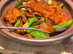 牛肝菌土猪肉-一川二水•粤川醉(CP静安店)
