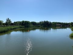 -大兴滨河森林公园