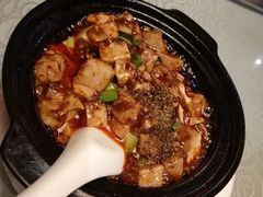 -陈麻婆豆腐总店