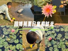 -厦门园林博览苑