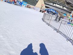 -沈阳奥体冰雪嘉年华