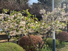 -南京信息职业技术学院