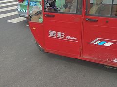 -荷兰花海