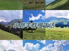 -新疆那拉提国家旅游度假区