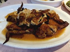 油泼童仔鸡-三元宾馆-中餐厅