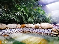 -三江森林温泉度假区